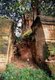 Thailand: Ruined entrance to 14th century Wat Chedi Luang, Chiang Saen, Chiang Rai Province, Northern Thailand